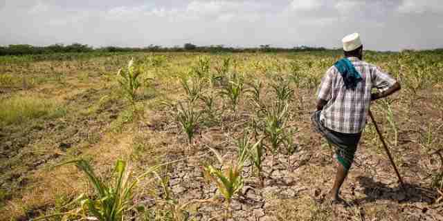 La BAD, la FAO et le gouvernement du Soudan du Sud signent des protocoles pour un don de 14 millions de dollars pour stimuler les marchés agricoles