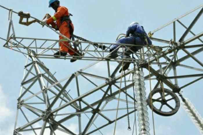 Cegelec en France va livrer une ligne de transport d'électricité de 105 km pour électrifier 150 villages au Cameroun