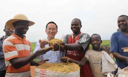 Des experts agricoles chinois aident le Burundi à améliorer la production agricole