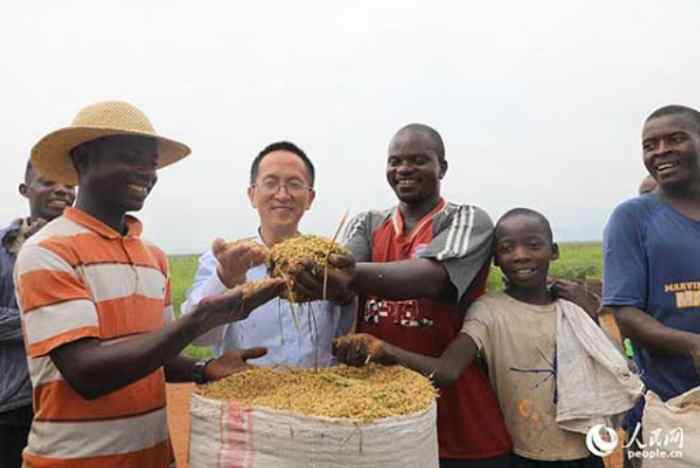 Des experts agricoles chinois aident le Burundi à améliorer la production agricole