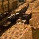 Dangote Sugar augmente sa production de 13,7% malgré la pandémie au Nigéria