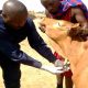 La FAO construit des laboratoires de diagnostic vétérinaire plus solides en Afrique de l'Ouest et du Centre