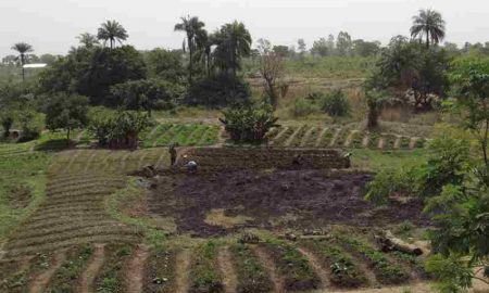 Nestlé et Technoserve dévoilent un projet ciblant 5 000 agriculteurs dans quatre chaînes de valeur au Nigéria