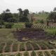 Nestlé et Technoserve dévoilent un projet ciblant 5 000 agriculteurs dans quatre chaînes de valeur au Nigéria