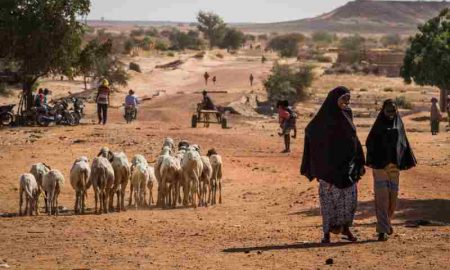 Les Nations Unies condamnent le meurtre horrible de civils au Niger