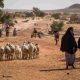 Les Nations Unies condamnent le meurtre horrible de civils au Niger