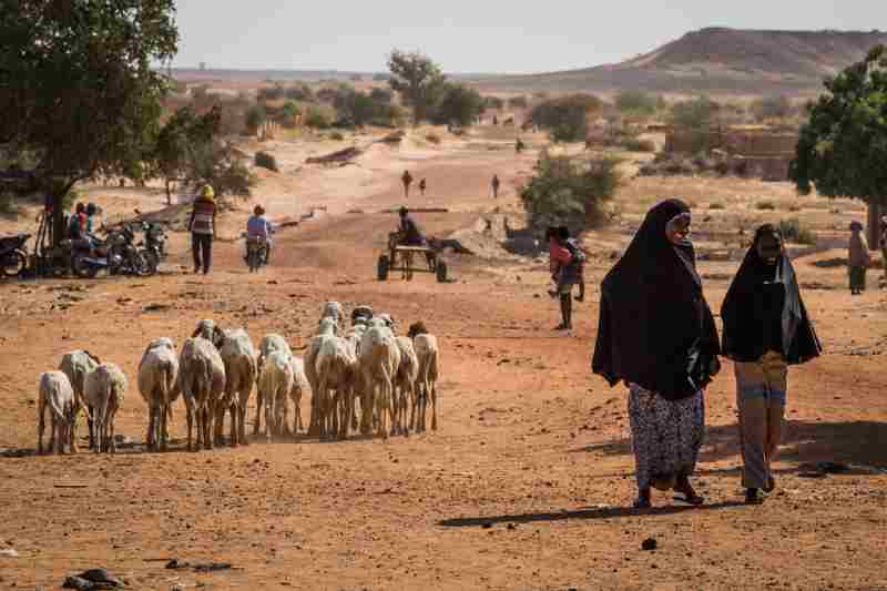 Les Nations Unies condamnent le meurtre horrible de civils au Niger