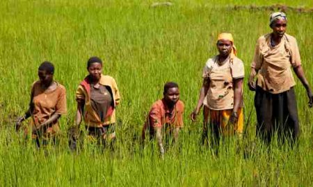 Le Fonds OPEP renforce la sécurité alimentaire au Burundi avec un prêt de 20 millions de dollars