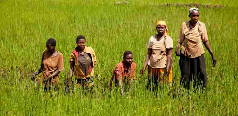 Le Fonds OPEP renforce la sécurité alimentaire au Burundi avec un prêt de 20 millions de dollars