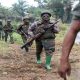 Au moins 17 personnes tuées dans des attaques armées dans l'est de la RDC
