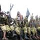 Les forces somaliennes reprennent la ville de Mahdai de l'emprise d'Al-Shabab