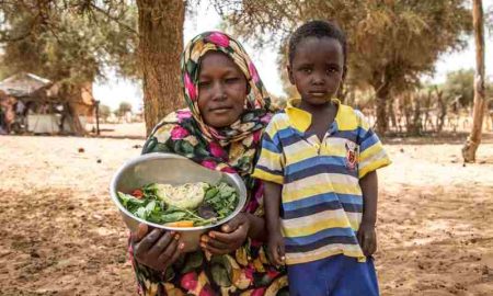 Intégrer la nutrition dans les systèmes alimentaires africains