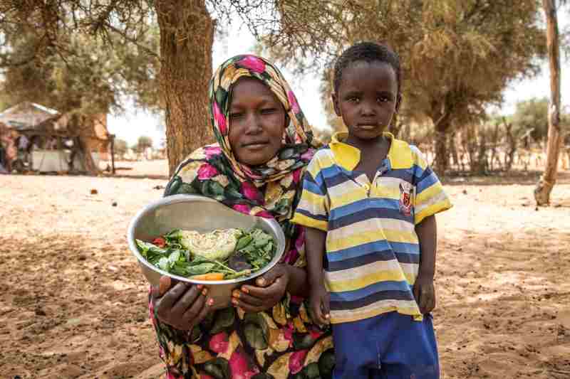 Intégrer la nutrition dans les systèmes alimentaires africains