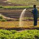 Dangote Fertilizer pour former les agriculteurs du Sud-Est du Nigéria
