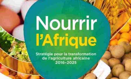 Le Fonds africain de développement fournit 31,2 millions de dollars pour stimuler la nutrition en Éthiopie