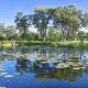 Découvrez le delta de l'Okavango...la plus belle et la plus grande oasis d'Afrique et du monde