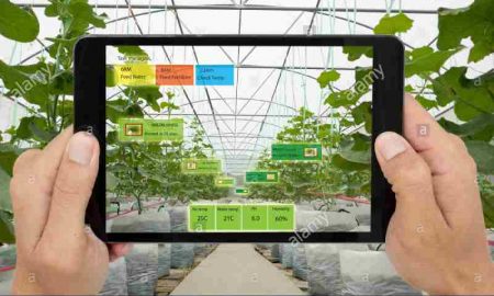 QSIT met en œuvre une solution d'intelligence artificielle pour le secteur agricole égyptien