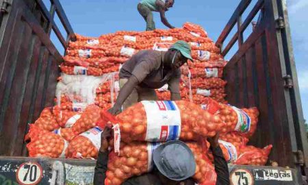 L'Union africaine et la «FAO» lancent un nouveau cadre pour stimuler le commerce agricole entre les pays africains