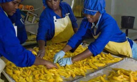 AGRA s'associe à Aceli Africa pour soutenir les PME agroalimentaires africaines