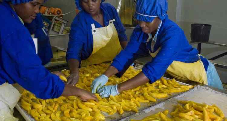 AGRA s'associe à Aceli Africa pour soutenir les PME agroalimentaires africaines