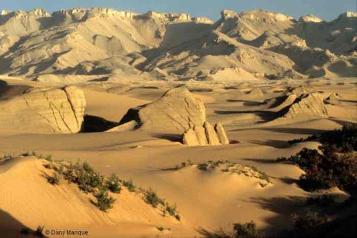 APA Corporation conclut un accord pour moderniser les contrats de partage de production dans le désert occidental, en Égypte