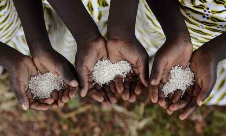 17 milliards de dollars pour améliorer la sécurité alimentaire en Afrique