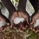 17 milliards de dollars pour améliorer la sécurité alimentaire en Afrique
