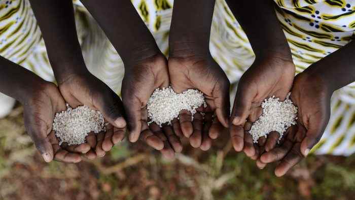 17 milliards de dollars pour améliorer la sécurité alimentaire en Afrique