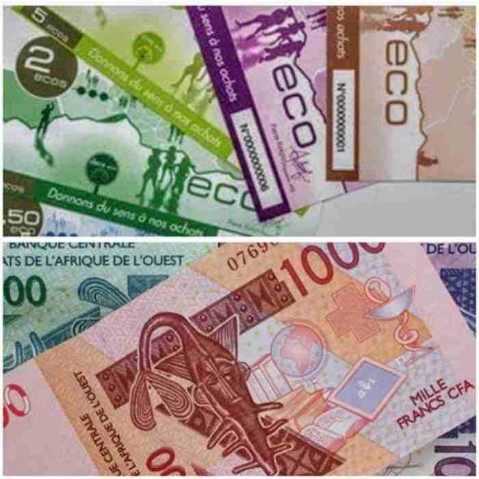 22 pays africains importent leurs devises d'Angleterre et d'Allemagne