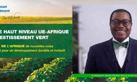 La BAD, partenaire de la BERD pour ouvrir des opportunités d'investissement durable en Afrique