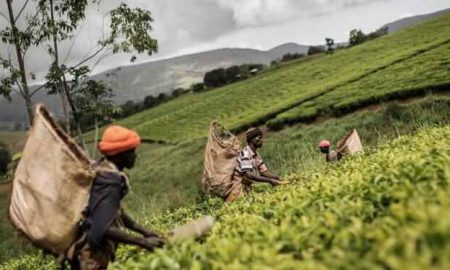 La Banque mondiale soutient la création d'emplois et la croissance économique au Malawi