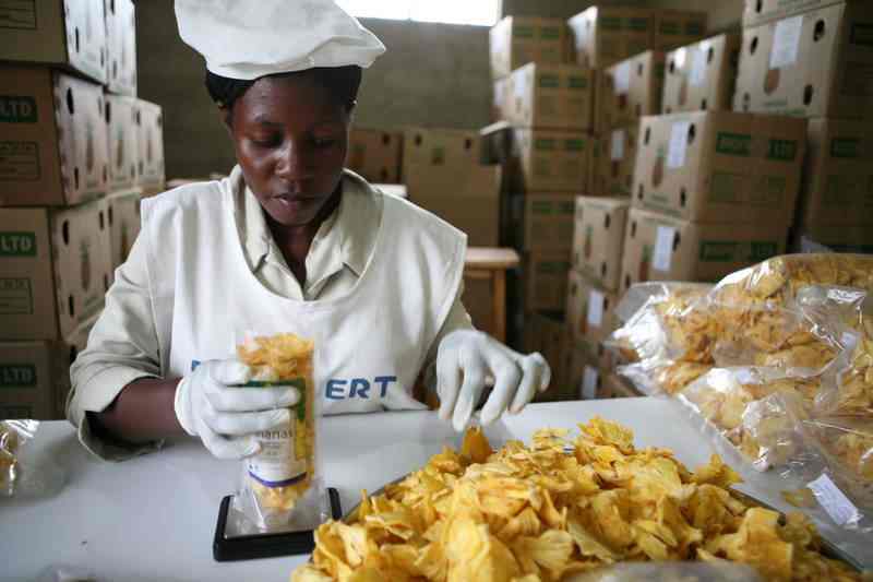 La Confédération agroalimentaire d'Afrique de l'Est lance une plateforme ciblant le secteur privé