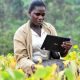 Amélioration des processus de gestion des terres grâce à la technologie SIG au Rwanda