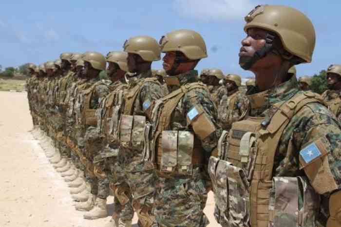 La Somalie forme un comité pour remédier aux divisions au sein de l'armée