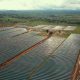 Sungrow s'associe à JCM Power et InfraCo pour construire le premier projet solaire-plus-stockage du Malawi