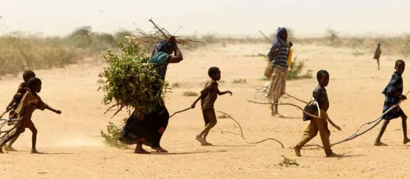 Le Fonds pour l'environnement mondial approuve plus de 46,6 millions de dollars pour soutenir des projets dirigés par la FAO en Asie et en Afrique