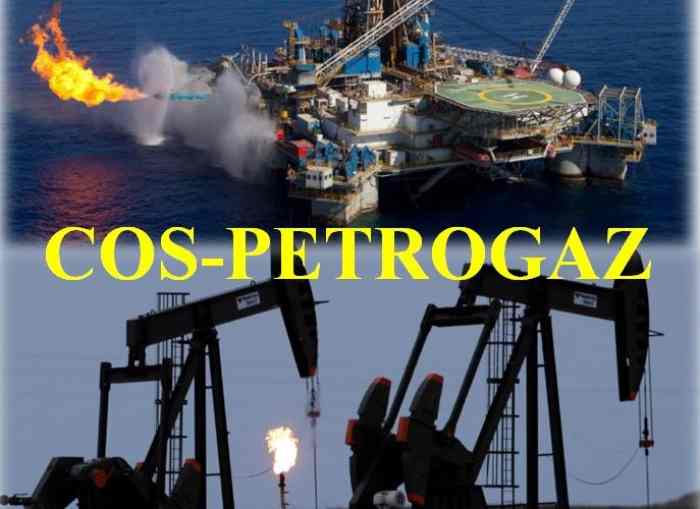 Les sociétés sénégalaises PETROSEN et Cos-Petrogaz renforcent leur partenariat avec la Chambre Africaine de l'Energie