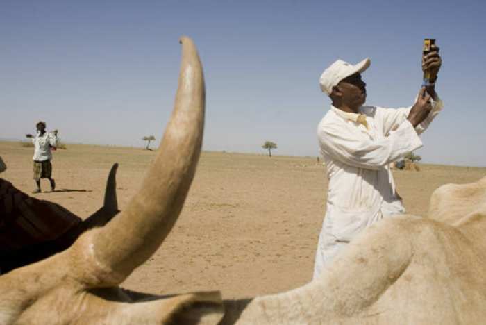 La FAO lance la première formation continue en épidémiologie vétérinaire appliquée au Kenya