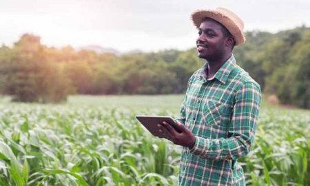 L'Afrique est sur le point de devenir une plaque tournante mondiale pour l'agritech, selon Microsoft Research
