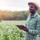 L'Afrique est sur le point de devenir une plaque tournante mondiale pour l'agritech, selon Microsoft Research