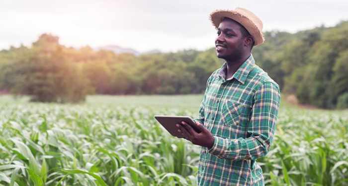 L'Afrique est sur le point de devenir une plaque tournante mondiale pour l'agritech, selon Microsoft Research