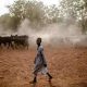 Des voleurs de bétail tuent des dizaines de personnes et un bateau coule tuant plus de 13 au Nigeria