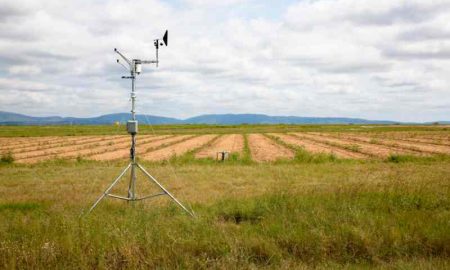 La startup nigériane agritech Thrive Agric cible 50 000 agriculteurs avec un nouveau projet