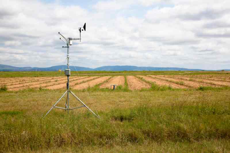 La startup nigériane agritech Thrive Agric cible 50 000 agriculteurs avec un nouveau projet