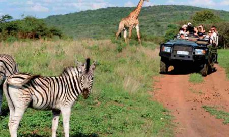 Pourquoi la Russie est désormais une source touristique clé pour la Tanzanie ?