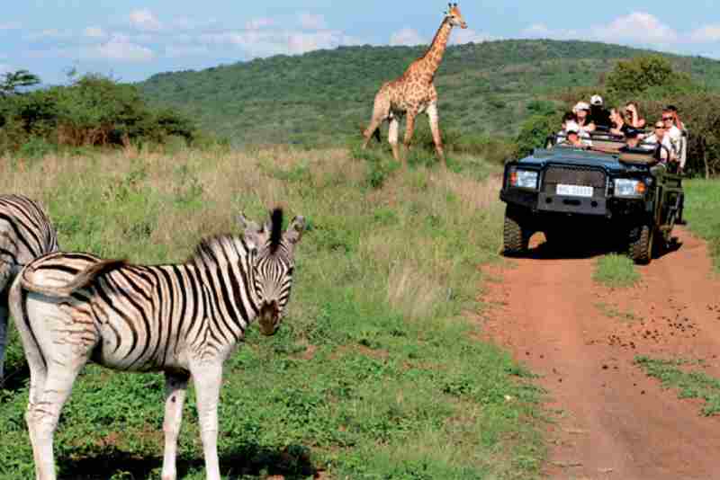 Pourquoi la Russie est désormais une source touristique clé pour la Tanzanie ?