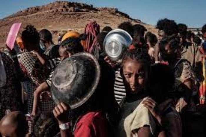 Plus de 90 % des habitants du Tigré en Éthiopie ont besoin d'une aide alimentaire d'urgence, selon l'ONU