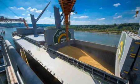 L'Algérie flatte la Russie en achetant des tonnes de blé russe