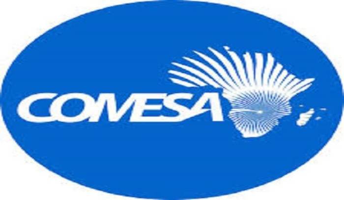 Le COMESA développe un portail virtuel de gestion des connaissances sur le changement climatique