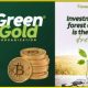 La start-up agroalimentaire ghanéenne Green Gold Farms lève 1,6 million de dollars pour relever le défi des importations alimentaires